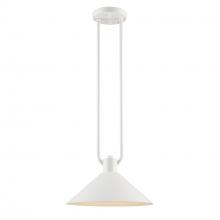  11761 WH - Roscoe 1 - Light Industrial Pendant